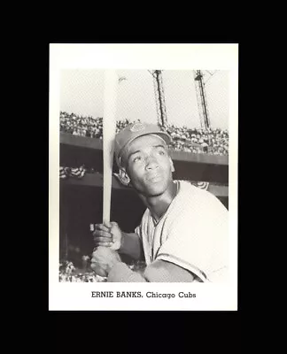 Ernie Banks 1964 Chicago Cubs Team Issue Picture Pack Photo - RARE - Gem Mint • $0.79