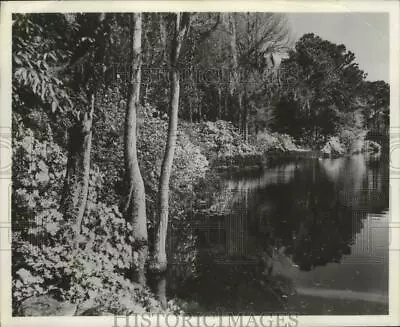 Press Photo Vintage Riverfront View Of Bellingrath Gardens In Mobile Ala. • $23.88