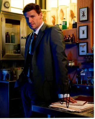 DAVID BOREANAZ Signed Autographed 8x10 BONES SEELEY BOOTH Photo • $119.99