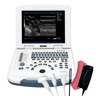 Laptop Veterinary Ultrasound Scanner Portable For Animal Health Pregnancy Check • $1295.45