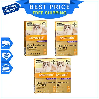 ADVOCATE For Cats Over 4 Kg PURPLE 3 6 12 Pipettes Flea Heartworm Worm Control • $48.99