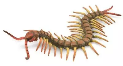 CollectA - Centipede Animal Figurine From Tates Toyworld • $11.98