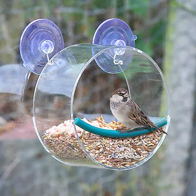 Glass Window Circular Perspex Bird Feeder Seed Nut Mealworm Suction Clear View • £8.99