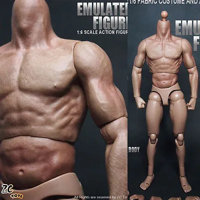 ZC Toys 1/6 Scale 12  Nude Male Muscular Man Figure Body Model Fit HT Headsculpt • $28.98