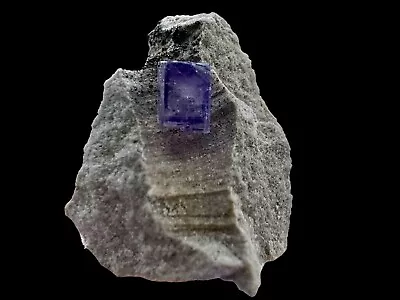 Clear Fluorite With Purple Zoning - AUGLAIZE OHIO   EX  Dr.John Medici Specimen • $24.99