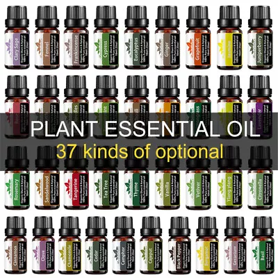 10 ML Essential Oils Fragrances Oil- Therapeutic Grade Oil -Natural Aromatherapy • $4.99