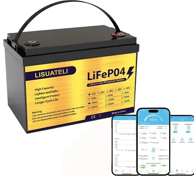 12V100Ah Bluetooth LiFePO4 Battery Pack With 100A BMS For RV Marine Solar Syste • $195