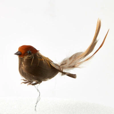 $13.80 • Buy Feathered Fancy Tail Mushroom Bird | 6 Pieces