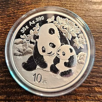 GEM 2024 China 30 Gram .999 Fine Silver Panda 10 Yuan In Capsule - FREE SHIPPING • $39.99