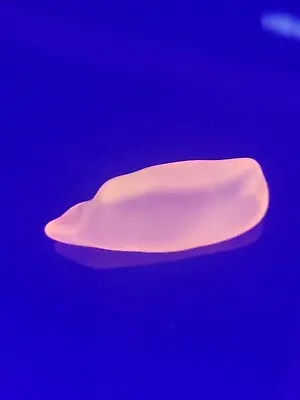 Sea Glass Found @ Lake / River Beach 1 Larger Piece Colored Yellow UV GLOWS • $11.95