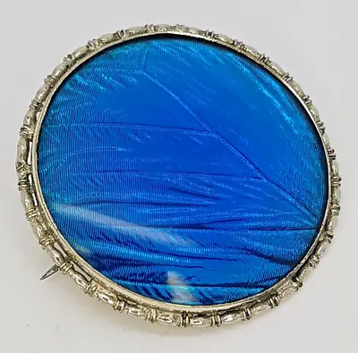Vintage Round Brooch Inlaid With Iridescent Blue Morpho Butterfly Wing • $75