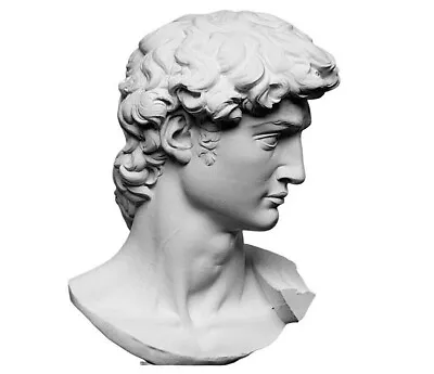 David Michelangelo Bust Statue Handmade Marble Exact Museum Copy Sculpture • $199