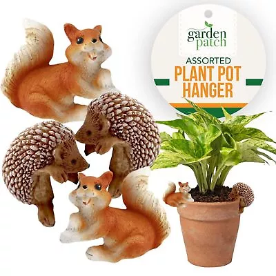 2-4 Pot Buddies Animal Plant Hangers Decorative Ornament Figure Squirel Hedgehog • £9.99