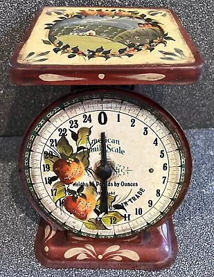 Vintage American Family 1906 Kitchen Scale Custom Hand Painted Artist Signed 25# • $79.99