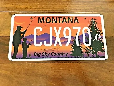 2018 Montana Big Brothers Big Sisters License Plate • $19.99