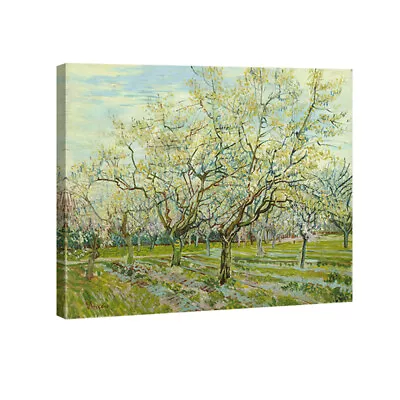 Canvas Print Van Gogh Painting Repro Wall Art Home Decor Green Trees Pic Framed • $13.93
