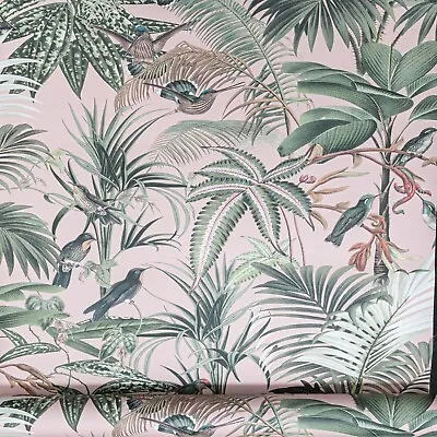  Tropical Rain Forest Birds Jungle Palm Blush Pink Wallpaper Jungle Leaf • £10.49