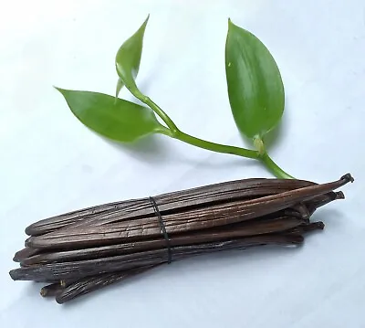 Organic Vanilla Beans Seasoned Pods Whole Extract Ceylon Vanilla Grade A • $8.93