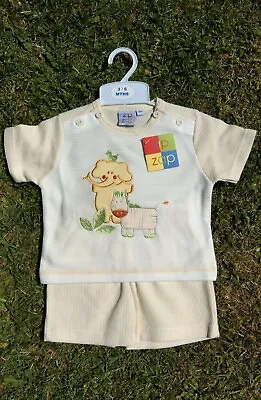 Baby Boy 2 Piece Shorts Set - Embroidered Jungle Animals By Zip Zap 3-6 Months • £4.99