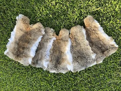 1/3/5/10pcs Natural Tanned Rabbit Skin Pelt Soft Real Fur Leather Hides Crafting • £11.39