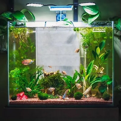 6 Gallon Aquarium Fish Tank Rimless Ultra Clear Low Iron Glass Aquarium Tank • $79.99