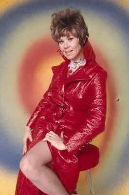 $24.99 • Buy SUE ANE LANGDON Exotic Pin Up Leggy In Red Coat Original 35mm Photo TRANSPARENCY
