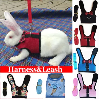 Rabbit Vest Guinea Pig Rat Ferret Harness & Lead Breathable Soft Pet Leash Set ❃ • $6.64