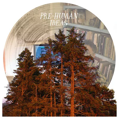 Mount Eerie Pre-Human Ideas Vinyl LP PICTURE DISC Record & MP3! Microphones NEW! • $33.99