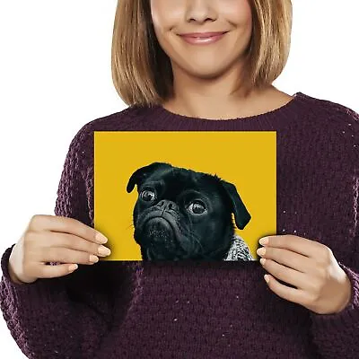£3.99 • Buy A5 - Black Pug Dog With Grey Scarf Print 21x14.8cm 280gsm #44326