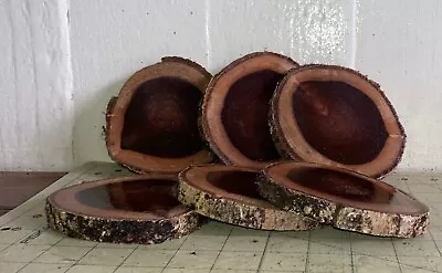 Six Pieces Hawaiian Milo Wood Log~ Rustic Coasters Fun Project Pieces • $14