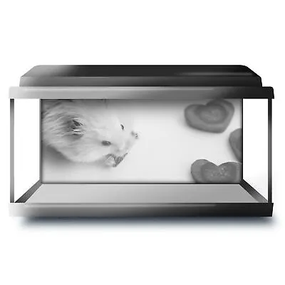 Fish Tank Background 90x45cm BW - Cute Hamster Pet Mouse Mice  #38730 • £14.99