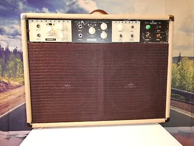 Magnatone Tube Guitar Amp Custom 260 2x10 Vibrato 6L6 Outputs 1960's Estey  HB • $2160