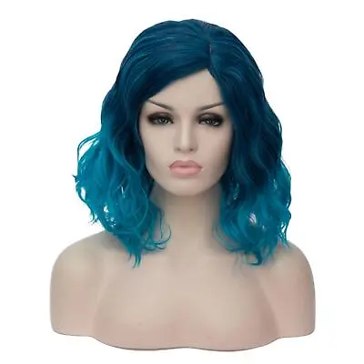 Women Lady 16  Curly Hair Wigs Long Curly Wavy Wig With Breathable Wig Cap • $19.99