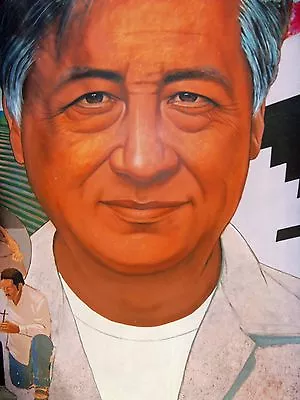 Cesar Chavez POSTER 24 X 36 INCH Mexico History Revolution • $23.99