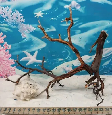  Manzanita Driftwood Premium Aquarium Wood Aquascape Decor Reptiles Bird Perch • $45