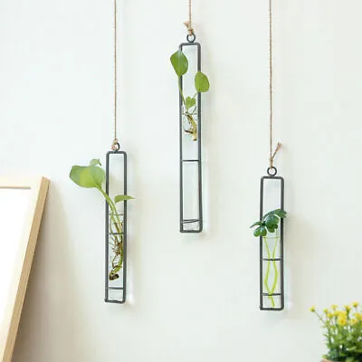 Transparent Glass Test Tube Planter Hydroponic Vase Flower Bottle Wall Hanging • £7.69