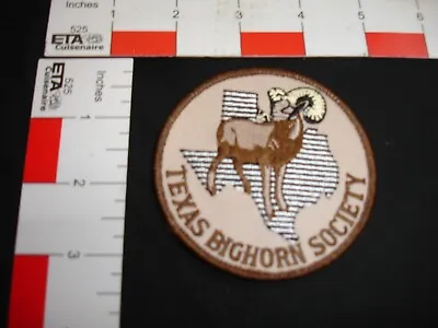 Texas Big Horn Hunting Patch Vintage • $18.99