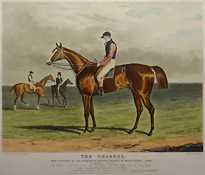 The Colonel The Winner Of The Great St. Leger Stakes - Herring 1829 - Horse Race • £684.55