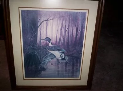 1984 R. J. McDonald   WALKER'S POND  PINTAIL Print Framed & Signed  *25 • $189.98