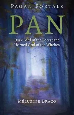 Pagan Portals - Pan - Dark Lord Of The Forest And Horned God Of The Witches... • £9.97