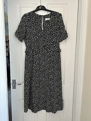Wallis Petite Frill Polka Dot Midi Dress New 12 • £16