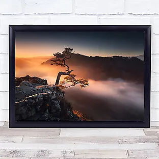 Sokolica Bonsai Tree Lonely Trees Sunset Wall Art Print • $37.29