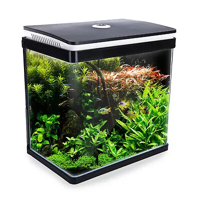 Dynamic Power Aquarium Fish Tank 30L Curved Glass RGB LED • $125.98