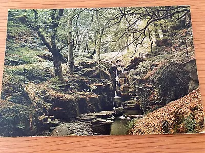 Ballaglass Glen Isle Of Man Real Photo Colour Postcard J. Arthur Dixon • £2.50