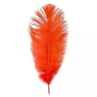 Ostrich Feather Drab 37-42cm - Burnt Orange • $4.20