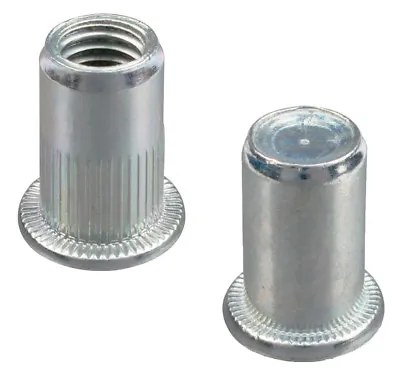 Round Body Flat Head Steel Rivet Nut (Sizes M3 | M4 | M5 | M6 | M8 | M10 | M12) • £3.09