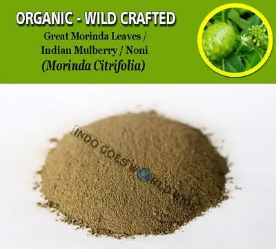 POWDER Great Morinda Leaves Indian Mulberry Noni Morinda Citrifolia Organic Wild • $130