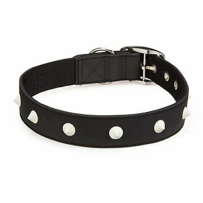 Zack & Zoey Glow Stud Collar 11 To 14-Inch Blue • $10.40