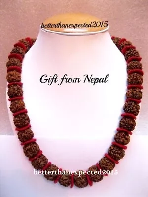 5 Mukhi Rudraksha 5 Face Rudraksh 18-20 Mm Nepal Beads Kantha Mala ~Energized • $17.90