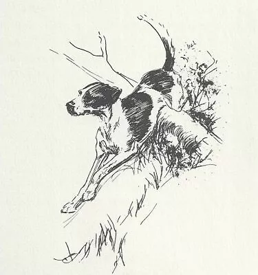 Foxhound  Jumping  - CUSTOM MATTED - Vintage Dog Art Print - 1932 D. Thorne • $12.95